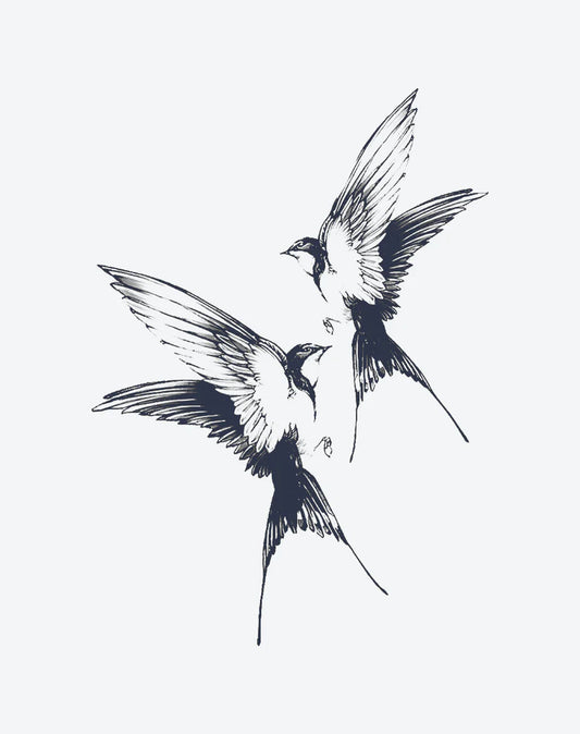 Flying Birds