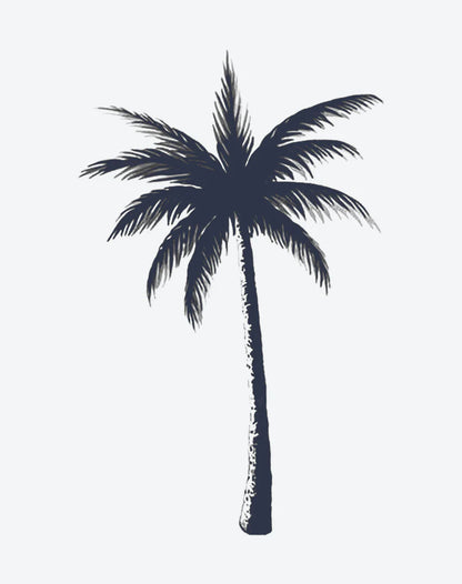 Palm Tree