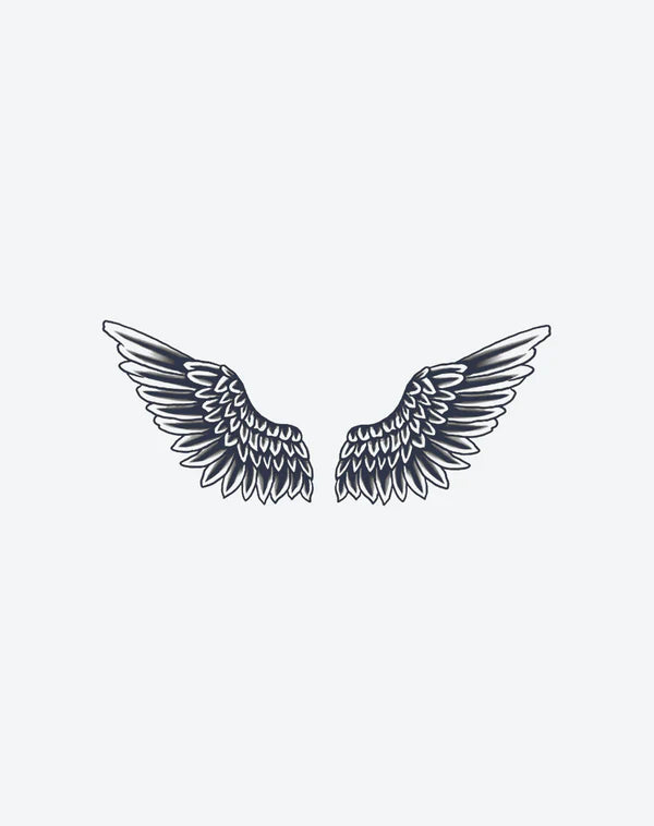 Wings of Ascent